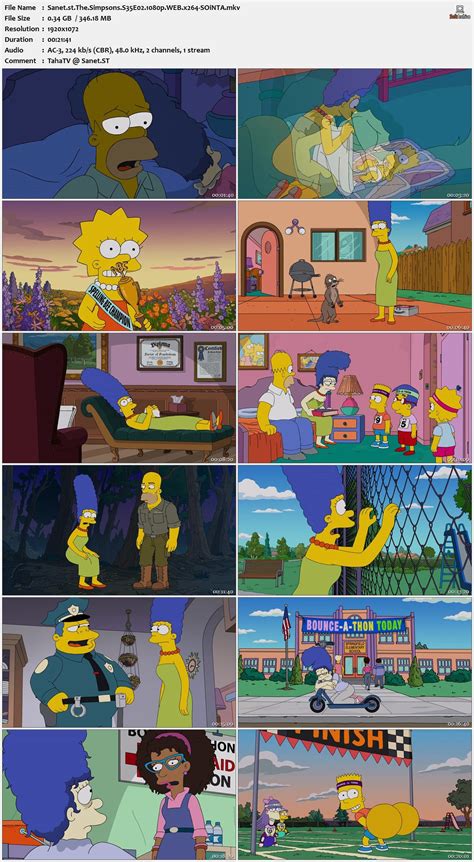 the simpsons season 08 h264|The Simpsons S35E02 720p WEB H264.